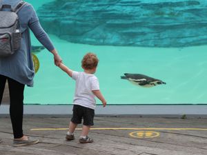 Supporting image for story: Huge demand for attractions and accommodation reopening on Monday