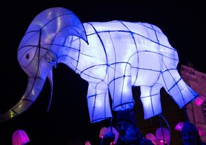 The Fringe Arts Wolverhampton will showcase the creative side of the city