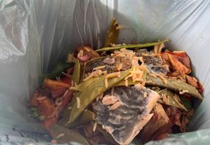 Supporting image for story: POWYS: Recycling target missed