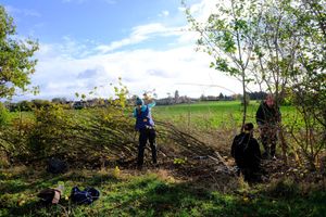 Hedgelaying training at Admaston, Telford - as part of the Hedgerow Heroes project