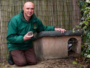 Supporting image for story: New limitations: West Midlands tourist attractions react to Tier 3 news