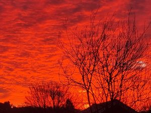 Supporting image for story: Could Shropshire's blazing red skies have been caused by Tonga volcano?