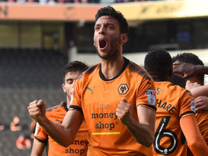 Supporting image for story: Roderick Miranda: Wolves can't relax