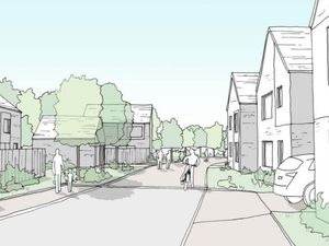 Supporting image for story: Controversial development withdrawn to delight of campaigners