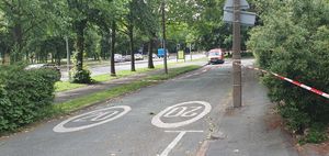 The area around the tree was cordoned off