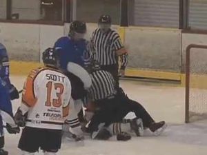 Supporting image for story: Telford Tigers v Sheffield Steeldogs - match video