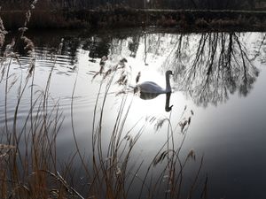 Supporting image for story: Living near canal can cut risk of chronic disease, study finds