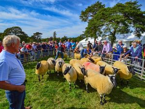 Supporting image for story: The 94th Beulah and District Show and Trotting Races will take place on Saturday, September 13 with competitions and attractions for all the family