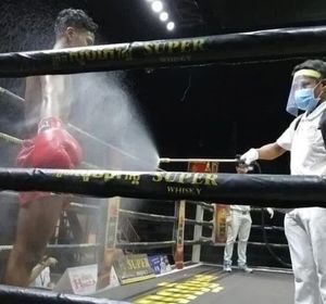 Boxer sprayed with disinfectant 