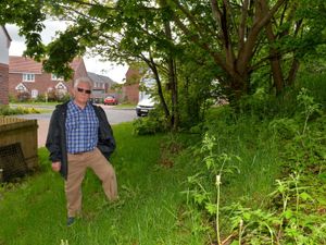 Supporting image for story: Residents allege company paid to maintain Shrewsbury new build estate 'hoodwinked' them as work is not being done