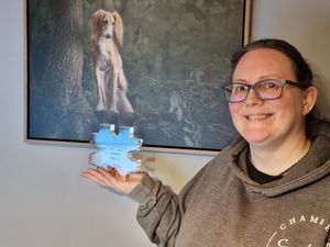 Supporting image for story: Market Drayton photographer captures hearts with award-winning rescue dog portrait