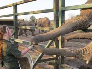 Supporting image for story: Doctor Dolittle has nothing on Megan