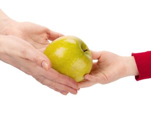 Supporting image for story: Impact of two-child benefit cap evident in food insecurity survey, says charity