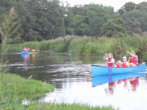 Supporting image for story: Paddling River Tern an oar-some way to visit Attingham Park