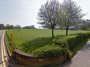 Supporting image for story: New nature reserves could be Covid memorial woodlands