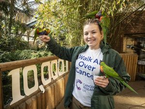 Supporting image for story: WATCH: Dudley Zoo keeper stepping out for cancer charity challenge 