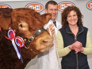 Supporting image for story: County-bred bull sells for £55,000