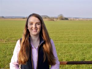 Supporting image for story: Pay attention to planting conditions with stewardship mixes