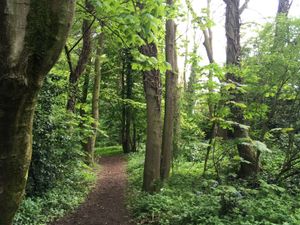Supporting image for story: The Queen's Green Canopy will spread across Shropshire 