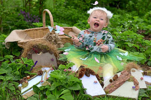 Supporting image for story: Fairy door trail comes to Shropshire
