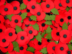 Supporting image for story: Peter Rhodes on dodgy poppies, killer kids and the AI solution to old age