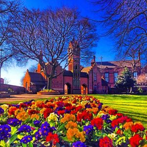 Sunlit flowers in front of the clock tower captured by Steve Kendrick