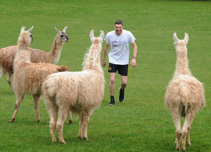 Andy Simmons has started preparing for this year's event