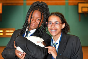Kesia Rawlins and Beatrice Annam, both aged 13, with Gus the guinea pig