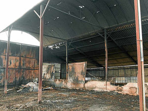 Supporting image for story: Farmer and son battle fire near Ludlow to save 20 cattle