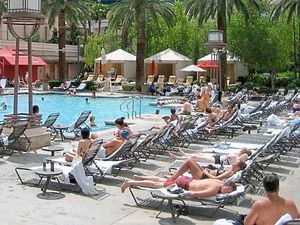 Supporting image for story: Peter Rhodes on a new boom industry, white roses on show and guaranteed sunbeds - at a price