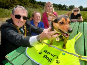 Supporting image for story: Wolverhampton Mayor shows support to local animal rescue ahead of its charity fun day