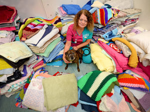 Supporting image for story: Black Country vets 'completely overwhelmed' as donations flood in after appeal