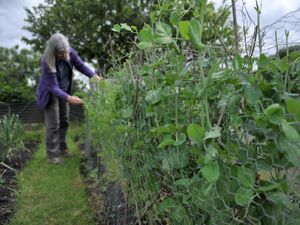 Supporting image for story: Peter Rhodes on how life goes on, saving petrol and the steepest street in the world