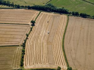 Supporting image for story: Farmers to be paid hundreds of pounds per hectare to maintain habitats