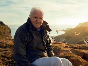 Supporting image for story: Sir David Attenborough to present BBC series focusing on the British Isles
