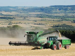 Supporting image for story: No-till regime improving crop yields and soil structure
