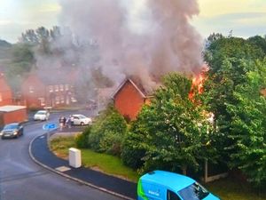 A video still of the house fire in Gittens Drive, Aqueduct
