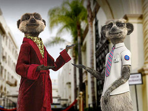 Supporting image for story: Arrests over Shrewsbury meerkat toy thefts