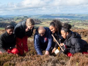 Supporting image for story: Shropshire businesses invited to lead private investment in nature recovery