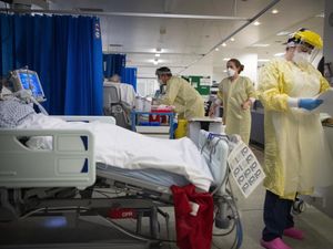 Supporting image for story: Call for health workers to get mental health support like veterans post-pandemic