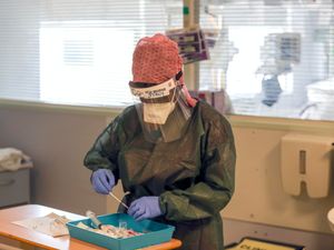 Supporting image for story