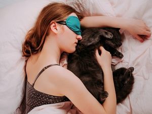 Supporting image for story: People 'love their houses as much as they love their pets'