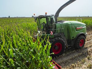 Supporting image for story: Auctions to sell 5,000 acres of standing crops across Shropshire