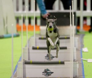 Supporting image for story