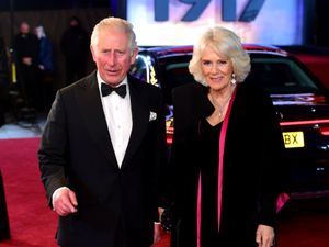 Supporting image for story: Queen expected to recover from chest infection in time for Gladiator II premiere