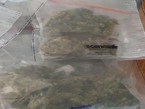 Supporting image for story: Four arrests and drugs seized during Cannock raids