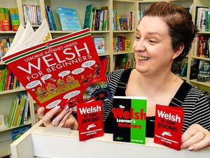 Supporting image for story: Welsh language calls backed for Oswestry pupils