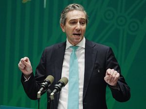 Supporting image for story: Ireland welcomes withdrawal of Greenland tariff threat