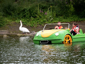 Supporting image for story: Beep-beep! Car boat causes ripples at Arboretum