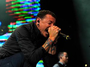 Supporting image for story